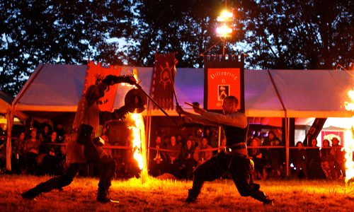 Swordpunk Fire Circle Combat